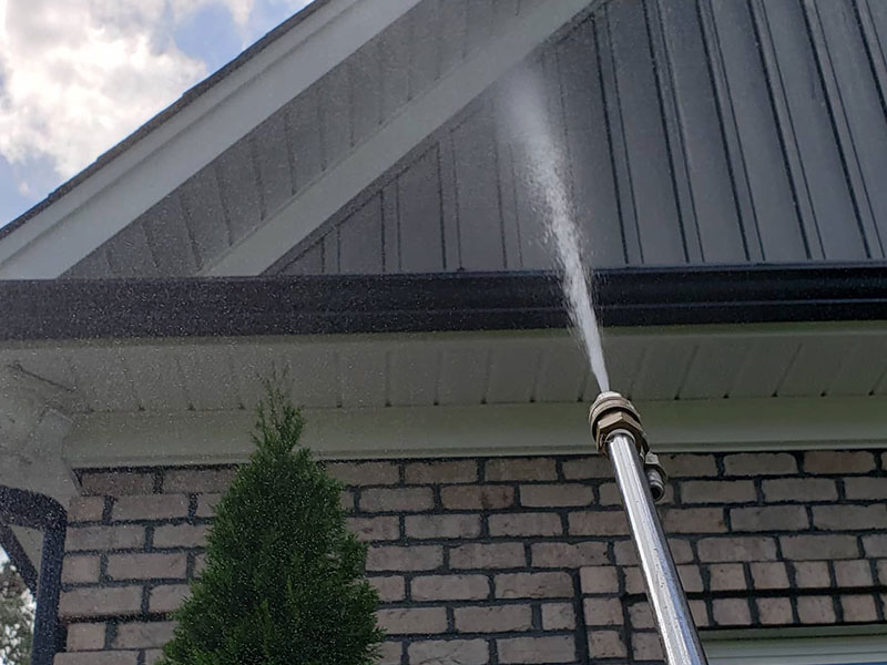 roof cleaning