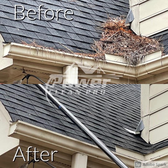 Gutter Cleaning