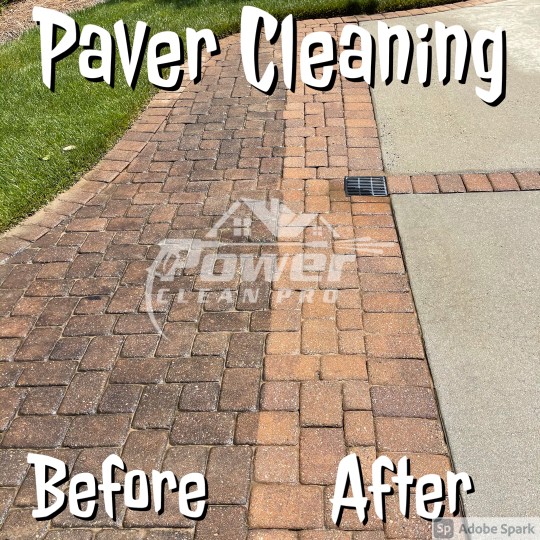 Paver Cleaning