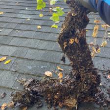 Gutter Cleaning Greensboro 8