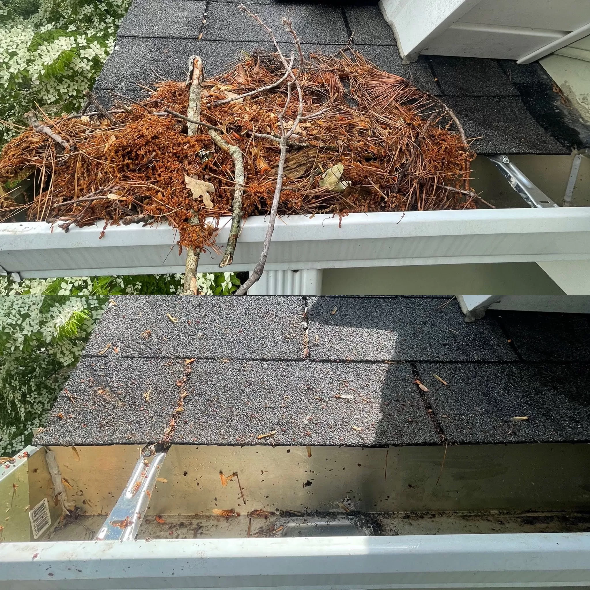 Gutter Cleaning on Timberwolf Avenue in High Point, NC