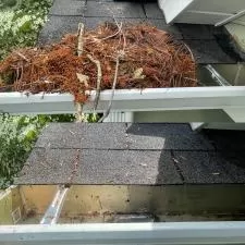 Timberwolf Avenue Gutter Cleaning 0