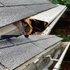 Timberwolf Avenue Gutter Cleaning 1