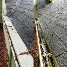 Timberwolf Avenue Gutter Cleaning 2