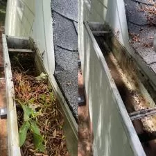 Timberwolf Avenue Gutter Cleaning 4