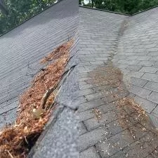 Timberwolf Avenue Gutter Cleaning 6