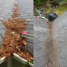 Timberwolf Avenue Gutter Cleaning 7